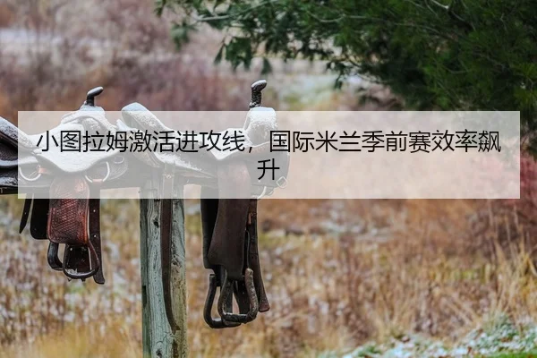 小图拉姆激活进攻线，国际米兰季前赛效率飙升