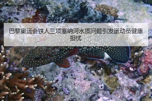 ba-li-ao-yun-hui-tie-ren-san-xiang-sai-na-he-shui-zhi-wen-ti-yin-fa-yun-dong-yuan-jian-kang-dan-you-3-162.jpg
