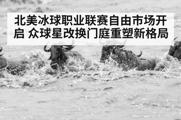 北美冰球职业联赛自由市场开启 众球星改换门庭重塑新格局