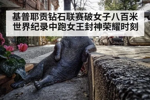 基普耶贡钻石联赛破女子八百米世界纪录中跑女王封神荣耀时刻